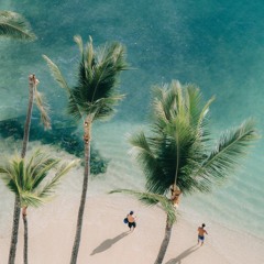 Fourteenth Beach