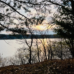 When the Bluebirds Sing Their Song