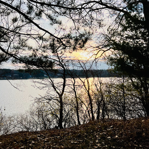 When the Bluebirds Sing Their Song