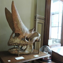 Clockwork LP Mix 2024