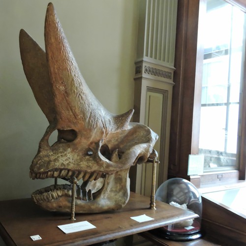 Clockwork LP Mix 2024