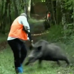 Pompi tek