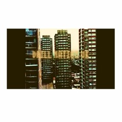 DEE COY - Flag on the moon