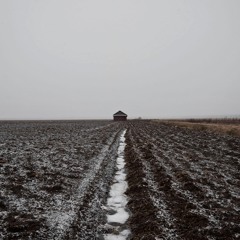 Winter Fields - 21/1/2020 - Leistila Fields
