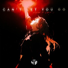 J V N - Can't Let You Go