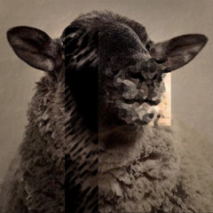 Gullyspit - Sheep (feat. Toxic)