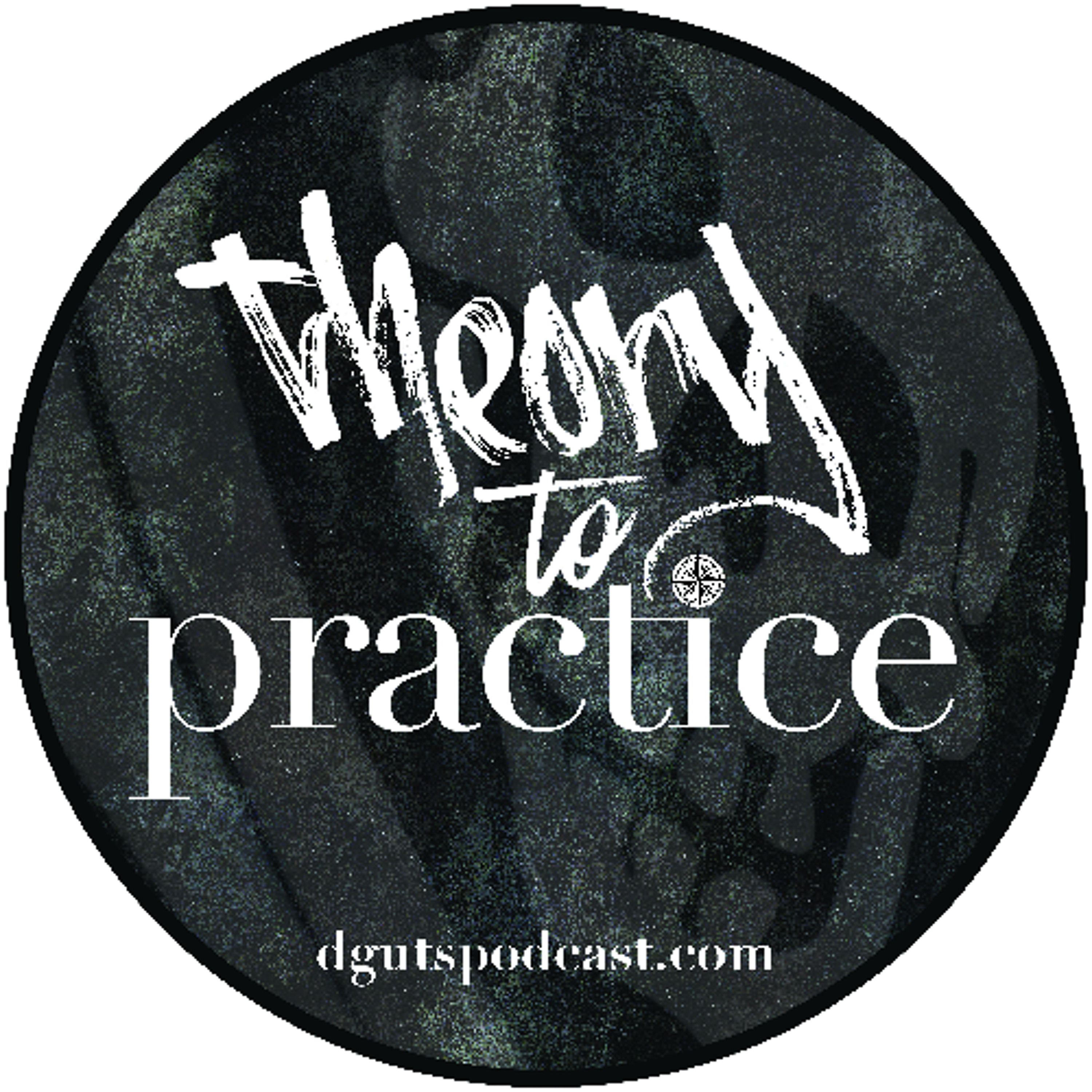 Theory to Practice: Trust - Theory Episode