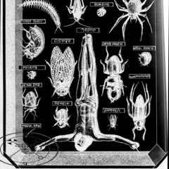 {{YHARNAAM MIXX}} 𓆨⸸𓆤⸸𓆧⸸𓆦⸸𓆣 #myglxrixuxxcxllectixn +yharnaam [xxhyz]