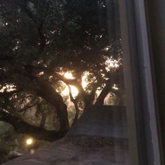 something beautiful is coming