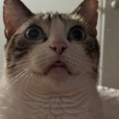 1. Ce soir je m'en vais