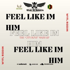 Feel Like Im Him (City Boys Mash Up)