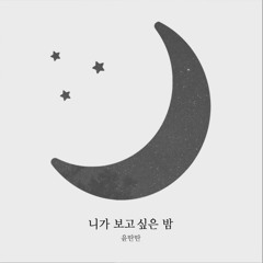 윤딴딴 니가 보고 싶은 밤.mp3