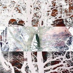 Psydarkprogmixaug8
