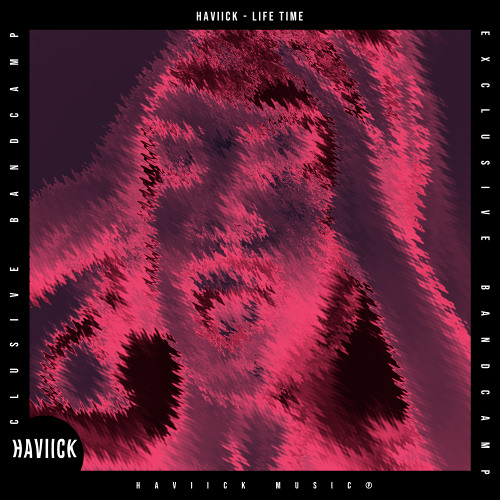HAVIICK - Lifetime