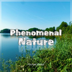 Phenomenal Nature - Michael Gogol