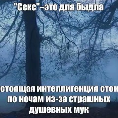 Discotekа