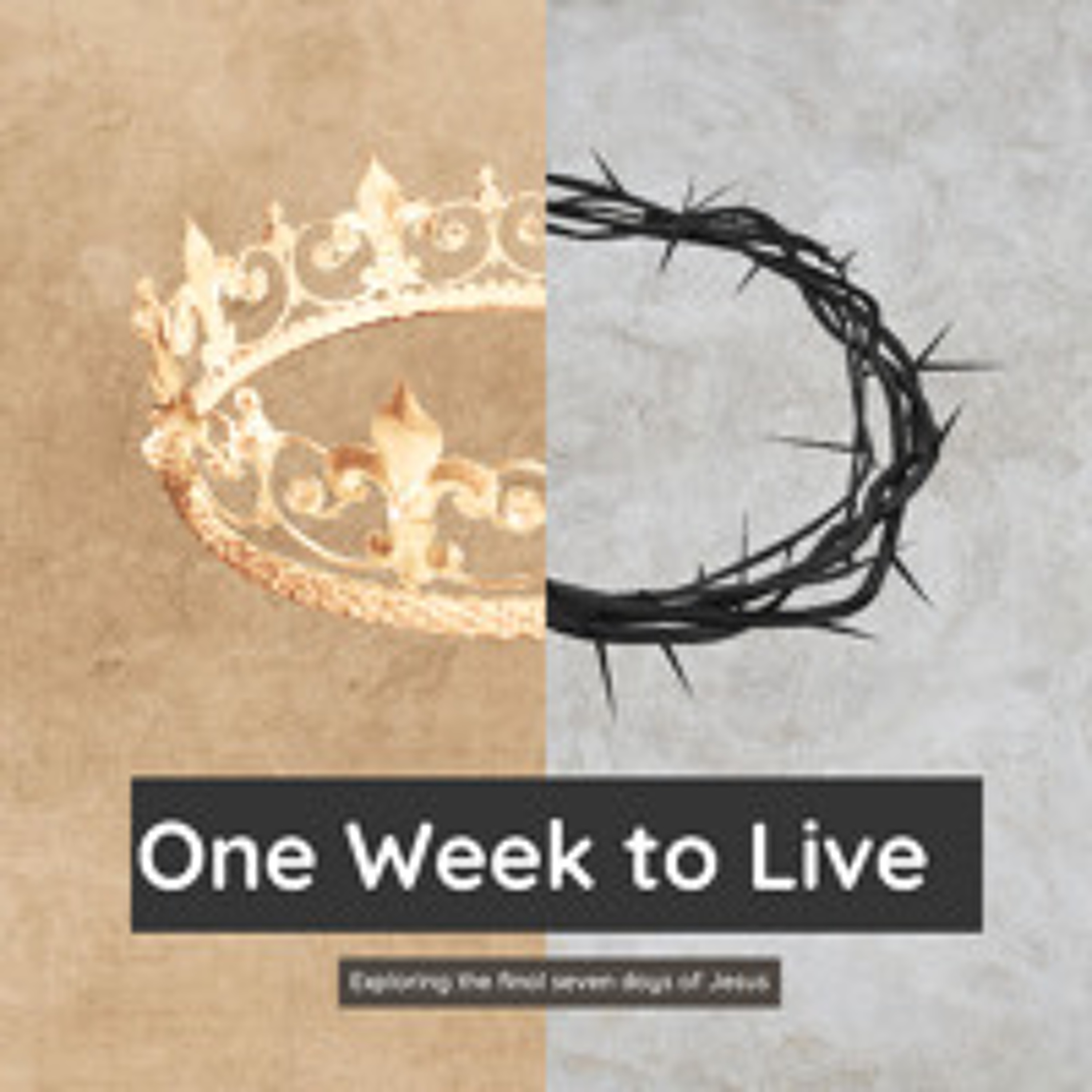 Mark 11:27-12:12 episode artwork
