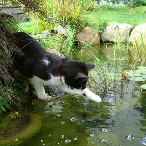 u know id wait 4ever