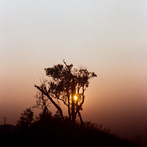 เมษายน - กระดาษเปล่า Cover by Warin