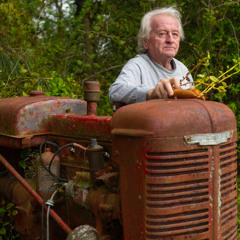 Root Down to Move Forward (Part 1)