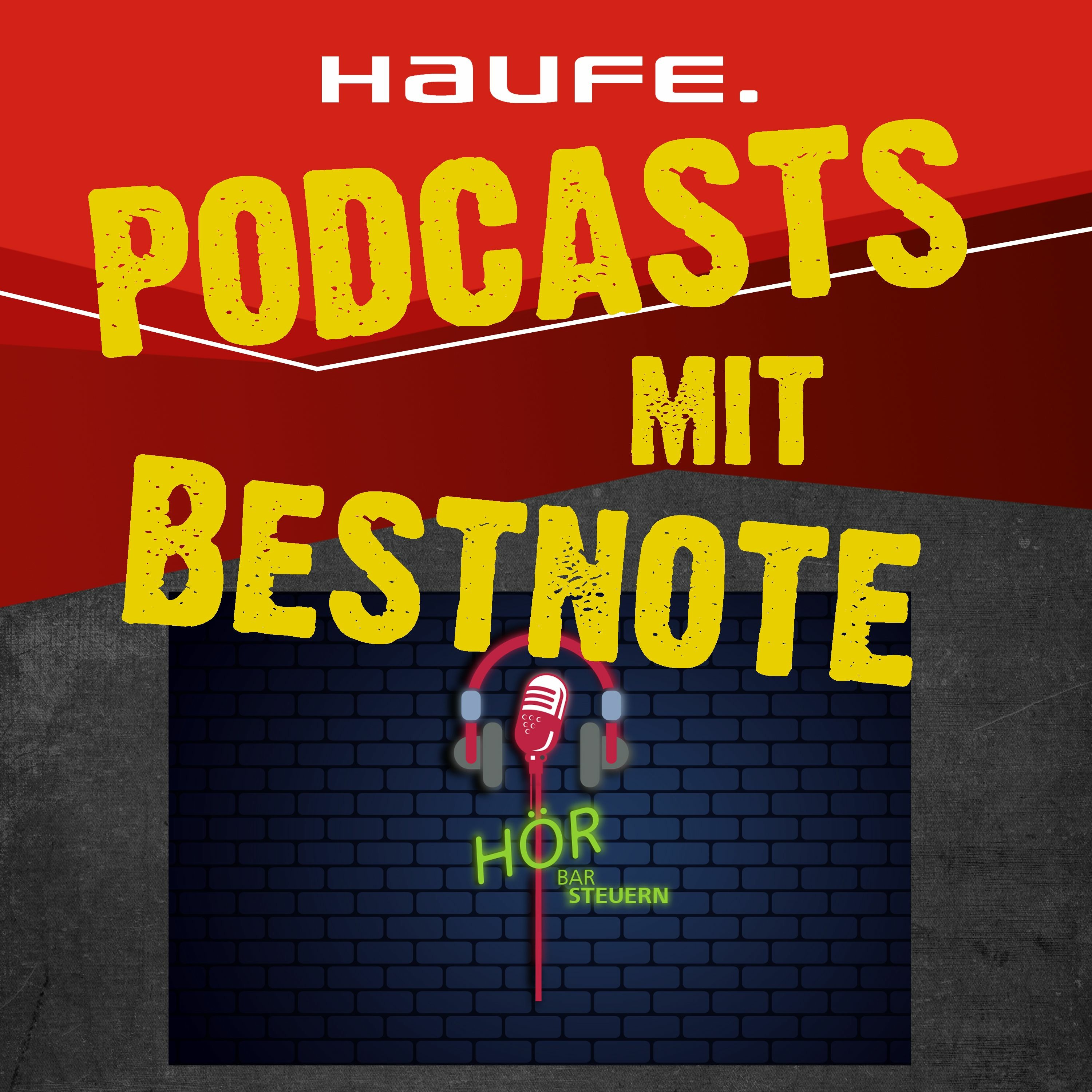Doris Hammerschmidt - Das Podcast-Buch