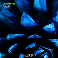 Jens Mueller - Tortuga (Original Mix) -free download