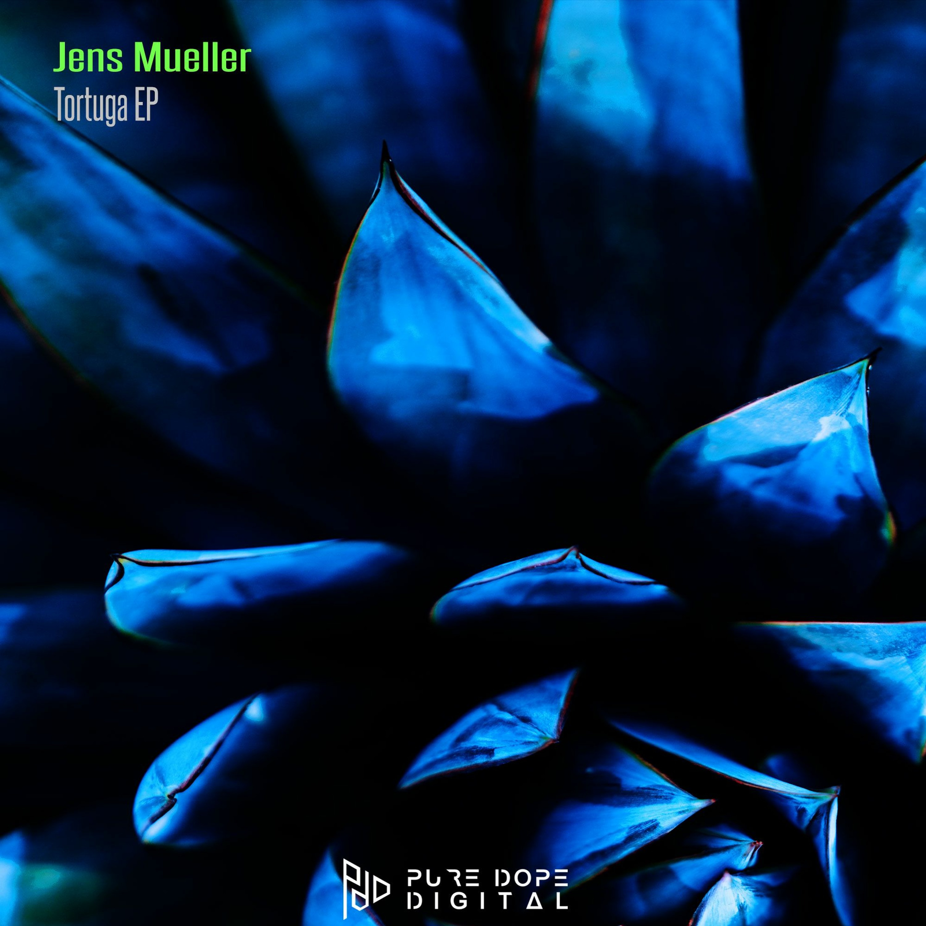 Jens Mueller