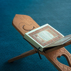 -أَلَم تَرَ إِلَى الَّذينَ تَوَلَّوا قَومًا غَضِبَ اللَّهُ عَلَيهِم .. -