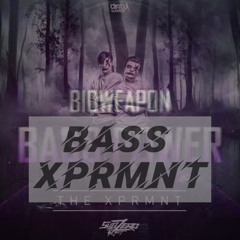 BASS XPRMNT  - (Subzero Project vs Bioweapon) Mashup