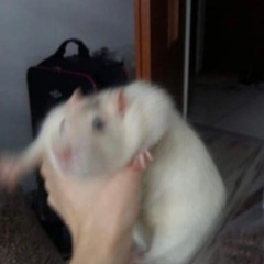 YOU, ME, GAS STATION (clean)