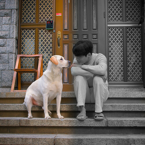 박다혜 - 정리중(Good bye)