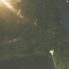 Nessy