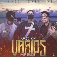 Te Voy A Enamorar (En Vivo)