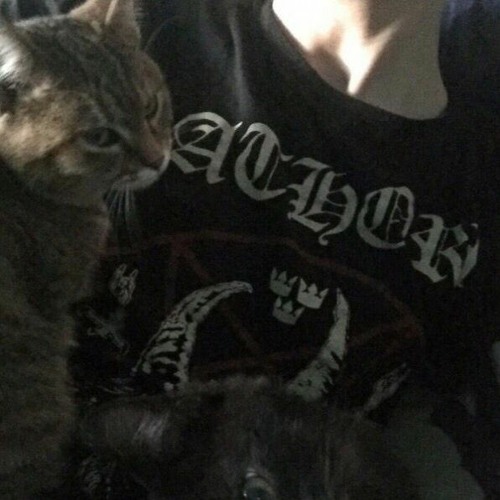 يا خاين الك يوم