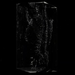 biavy - nie wiem co chce mieć