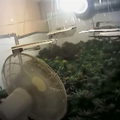 radica - DEMON PRINCE (prod. XERIA)