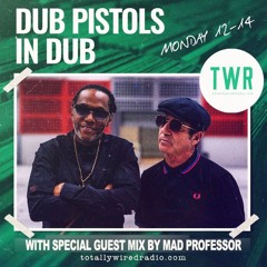 01 Dub Pistols In Dub May Feat Mad Professor