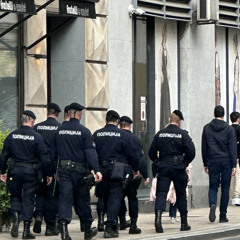 Ourmoney - Horse Ligne