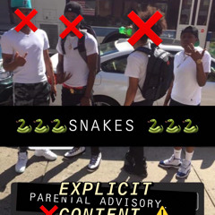 SNAKES 🐍🐍