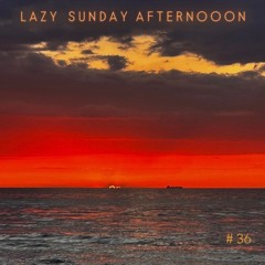 Lazy Sunday Afternooon 36