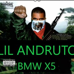 lil andrucik - BMW X5