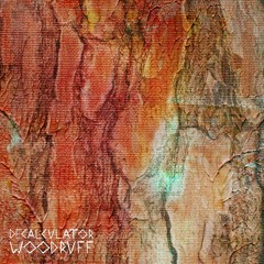 Woodruff (Niklaus Katzorke Remix)