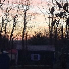 placeholder100 (hyperalt)