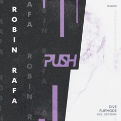 Premiere : Robin Rafa - Dive [PUSH003]