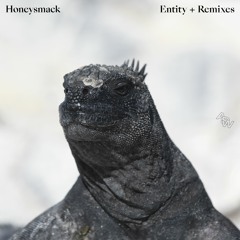 Premiere: Honeysmack - Entity (MSTRKRFT Remix) [Awesome Soundwave]