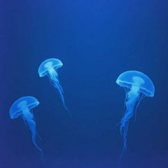 In The Deep Noire