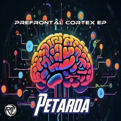 Petarda - Prefrontal Cortex (PFC) Clip