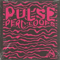 Audio Juice - Pulse: Percussion Loops