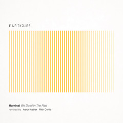 We Dwell in the Past (Aeron Aether Remix)