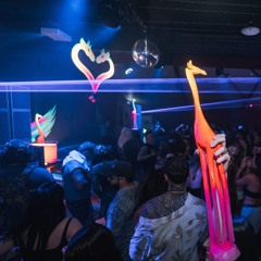 Leigh Boy @ Love Camp - Flight of the Lovebirds #2 - Closing set